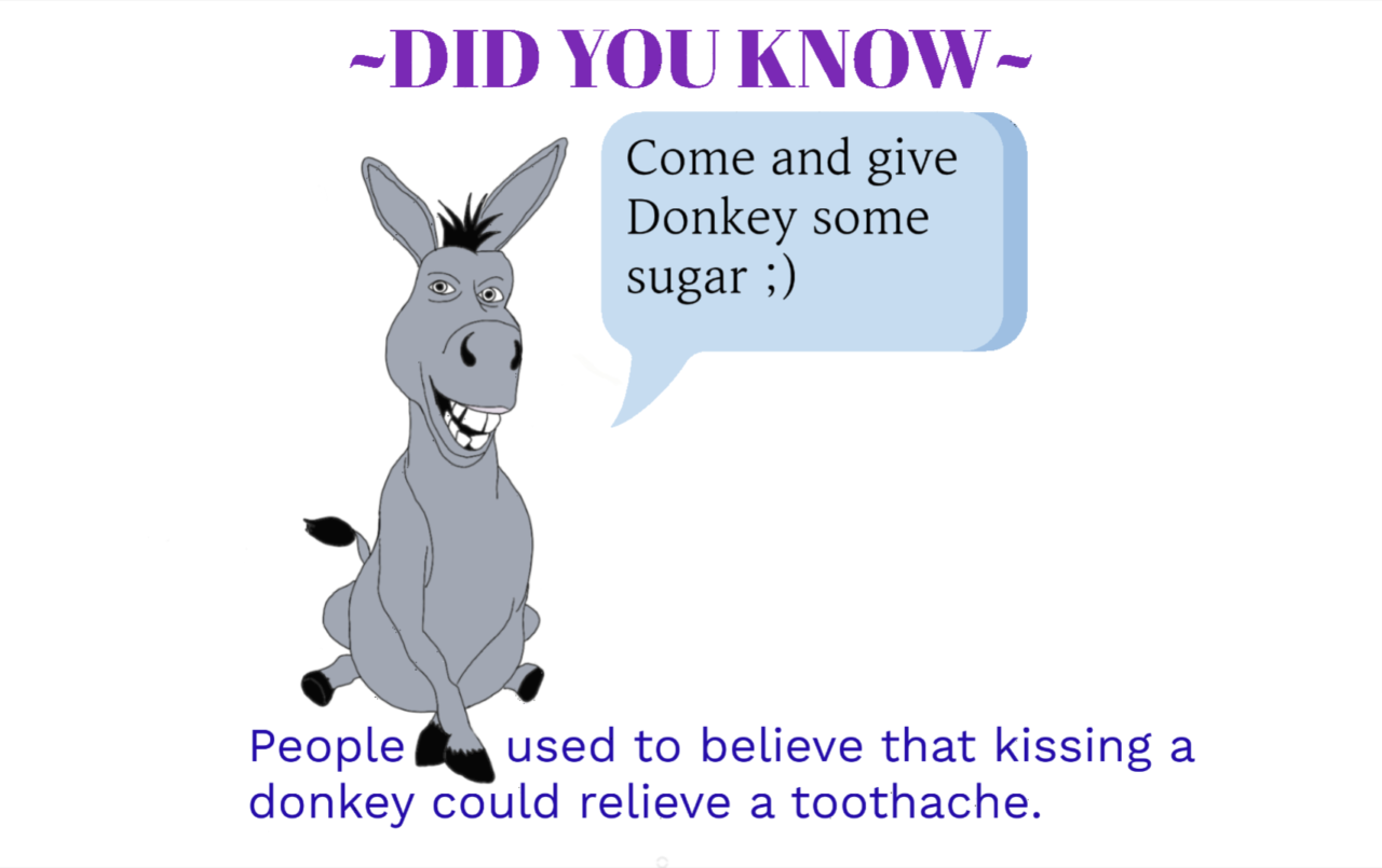 Did You Know... Donkey?!