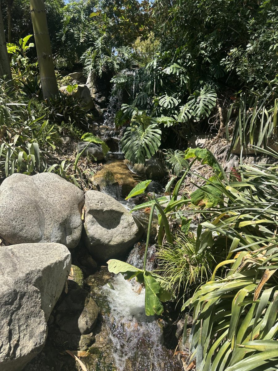 Waterfall in the "Jungle Garden"